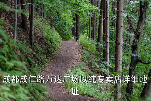 成都成仁路萬達廣場以純專賣店詳細地址