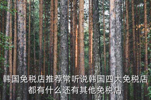 韓國免稅店推薦常聽說韓國四大免稅店都有什么還有其他免稅店