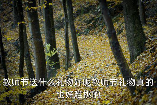 教師節送什么禮物好呢教師節禮物真的也好難挑的