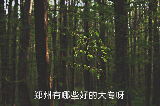 鄭州有哪些好的大專呀