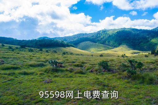 95598網(wǎng)上電費(fèi)查詢