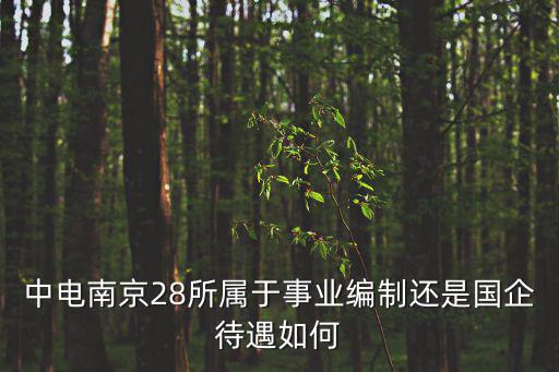 中電南京28所屬于事業編制還是國企待遇如何