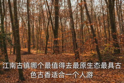 江南古鎮(zhèn)哪個(gè)最值得去最原生態(tài)最具古色古香適合一個(gè)人游