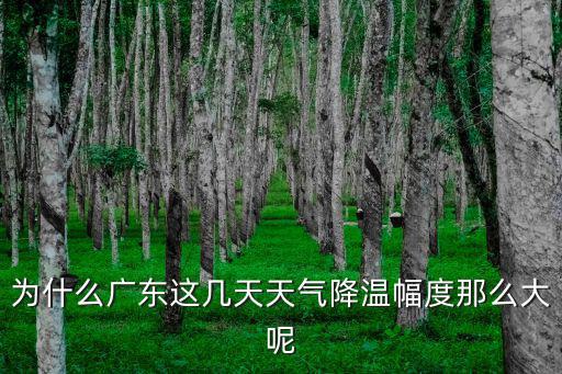 為什么廣東這幾天天氣降溫幅度那么大呢