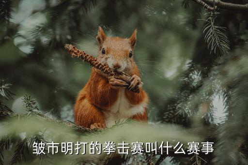 皺市明打的拳擊賽叫什么賽事