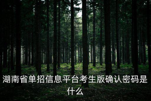 湖南省單招信息平臺考生版確認密碼是什么