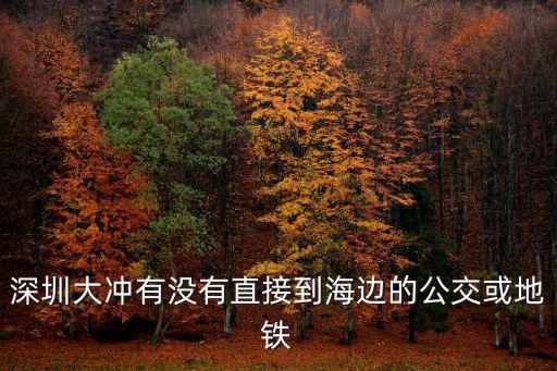 深圳大沖有沒有直接到海邊的公交或地鐵