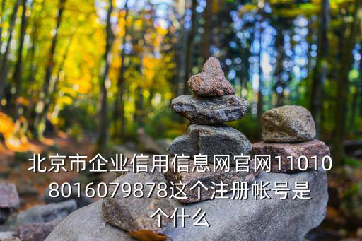 北京市企業(yè)信用信息網官網110108016079878這個注冊帳號是個什么