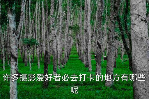 許多攝影愛好者必去打卡的地方有哪些呢