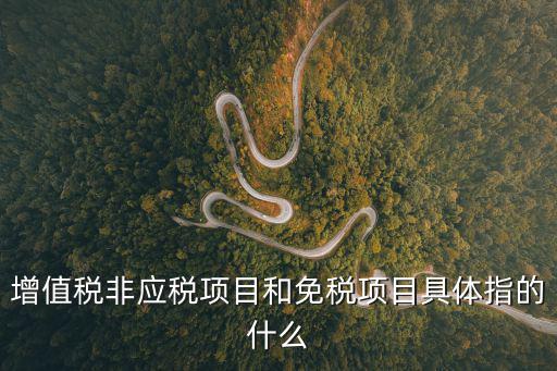 增值稅非應(yīng)稅項(xiàng)目和免稅項(xiàng)目具體指的什么