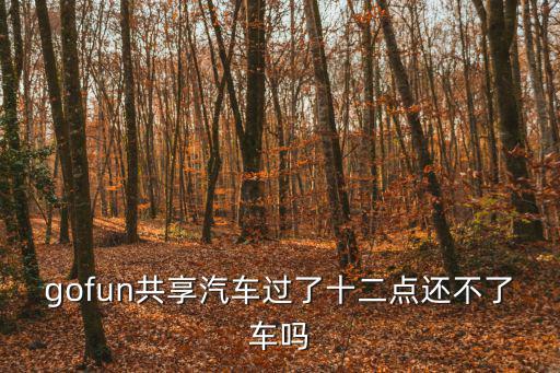 gofun共享汽車過了十二點還不了車嗎