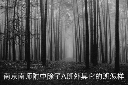 南京南師附中，南京南師附中除了A班外其它的班怎樣