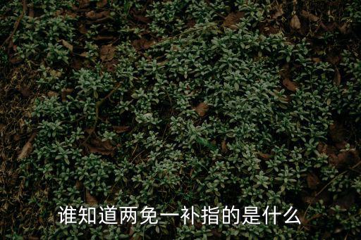 誰知道兩免一補(bǔ)指的是什么