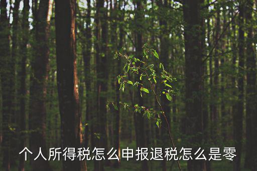 個(gè)人所得稅怎么申報(bào)退稅怎么是零