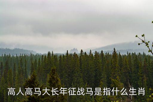 高人高馬大長年征戰馬是指什么生肖