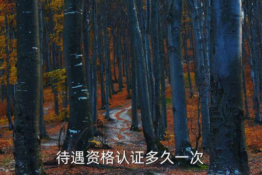 資格認證，待遇資格認證多久一次