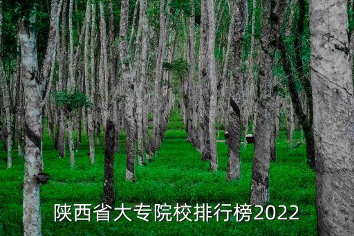 陜西專科學校，陜西省最好的前十名專科學校