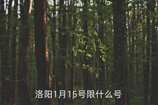 洛陽1月15號限什么號