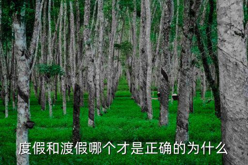 度假，請問度假和渡假哪個才是正確的說法