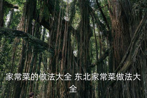 家常菜的做法大全 東北家常菜做法大全