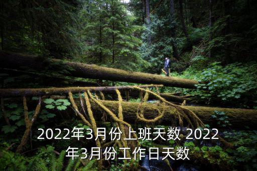 2022年3月份上班天數 2022年3月份工作日天數