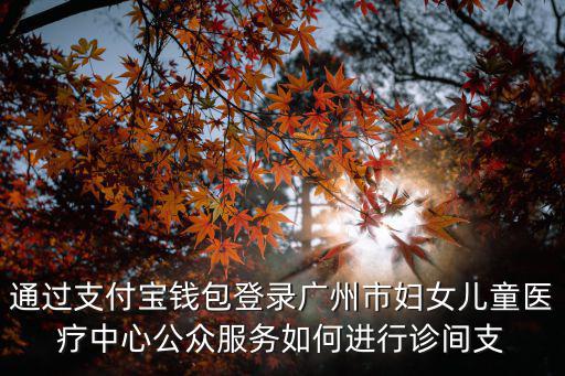 通過(guò)支付寶錢(qián)包登錄廣州市婦女兒童醫(yī)療中心公眾服務(wù)如何進(jìn)行診間支