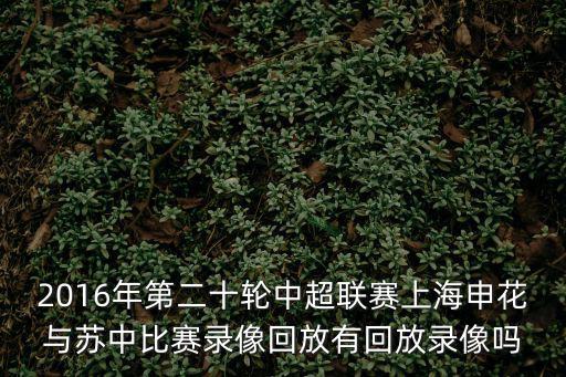 中超錄像回放，2016年第二十輪中超聯(lián)賽上海申花與蘇中比賽錄像回放有回放錄像嗎