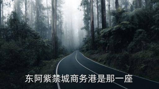 吉林商務(wù)港，吉林外事服務(wù)中心地址交通路線怎么走