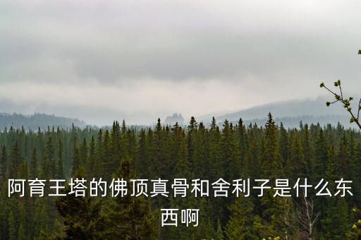 阿育王塔的佛頂真骨和舍利子是什么東西啊