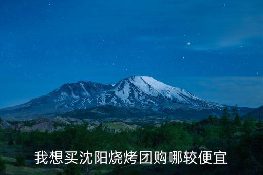我想買沈陽燒烤團購哪較便宜