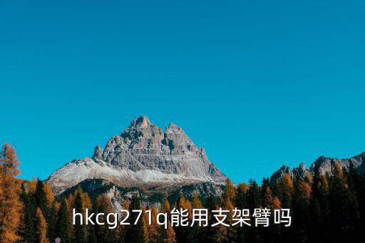 g271，hkcg271q能用支架臂嗎