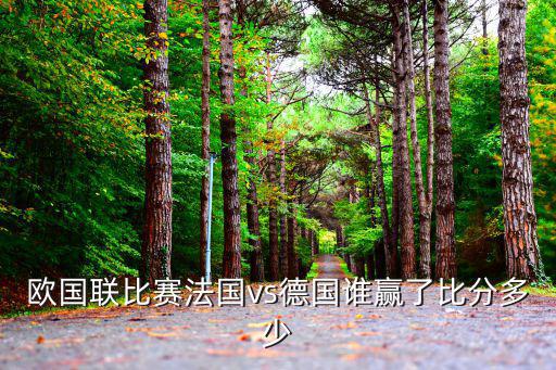歐國聯(lián)賽程，歐國聯(lián)小組賽打幾場
