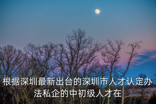深圳最新，根據(jù)深圳最新出臺(tái)的深圳市人才認(rèn)定辦法私企的中初級(jí)人才在
