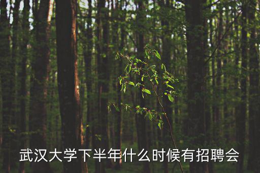 武漢高校招聘，武漢1011月校園聯合招聘會是在哪些大學啊