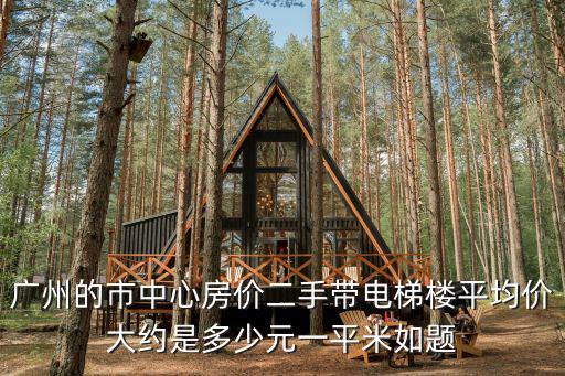 廣州的市中心房價二手帶電梯樓平均價大約是多少元一平米如題