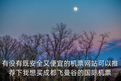 有沒有既安全又便宜的機票網站可以推薦下我想買成都飛曼谷的國際機票