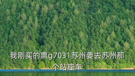 我剛買(mǎi)的票g7031蘇州要去蘇州那個(gè)站座車