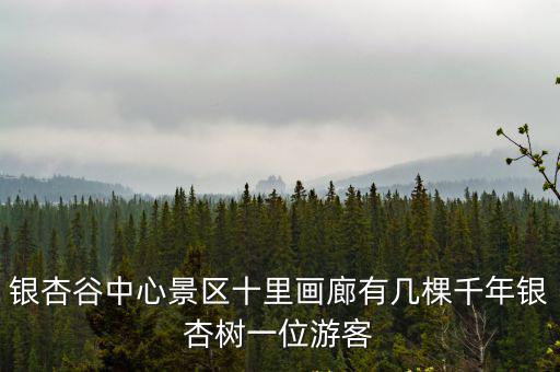 銀杏谷中心景區(qū)十里畫(huà)廊有幾棵千年銀杏樹(shù)一位游客