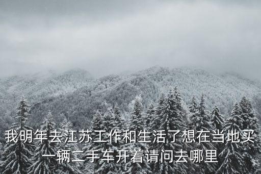 我明年去江蘇工作和生活了想在當地買一輛二手車開著請問去哪里