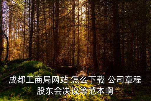 成都工商局網站 怎么下載 公司章程股東會決議等范本啊