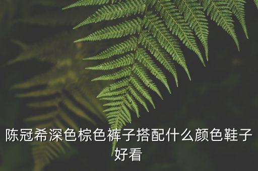 陳冠希深色棕色褲子搭配什么顏色鞋子好看