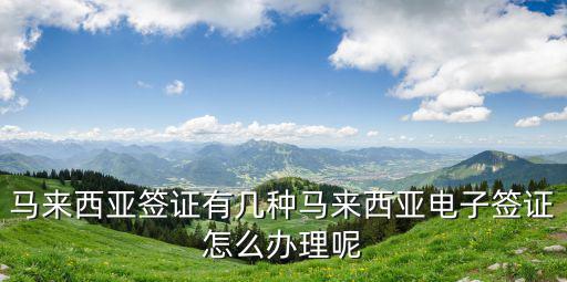 馬來西亞簽證有幾種馬來西亞電子簽證怎么辦理呢