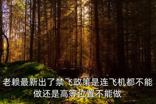 老賴最新出了禁飛政策是連飛機都不能做還是高等位置不能做