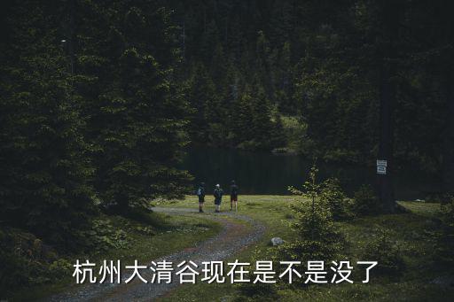 杭州大清谷現在是不是沒了