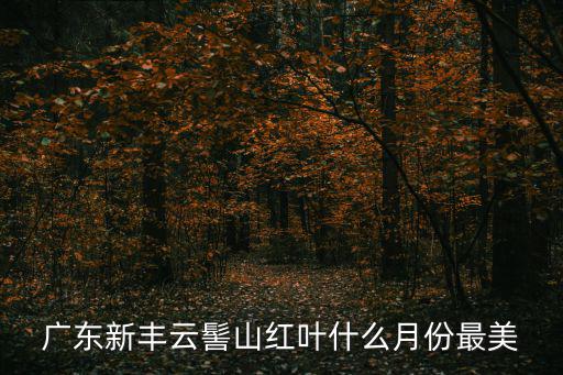 云髻山，廣東新豐云髻山紅葉什么月份最美