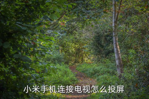 小米手機連接電視怎么投屏