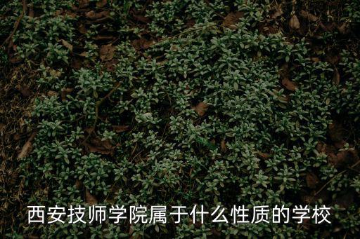 西安技師學院屬于什么性質的學校