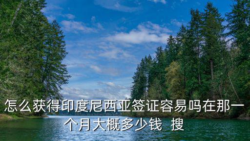 怎么獲得印度尼西亞簽證容易嗎在那一個月大概多少錢  搜