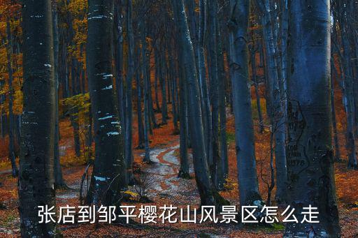 張店到鄒平櫻花山風景區怎么走