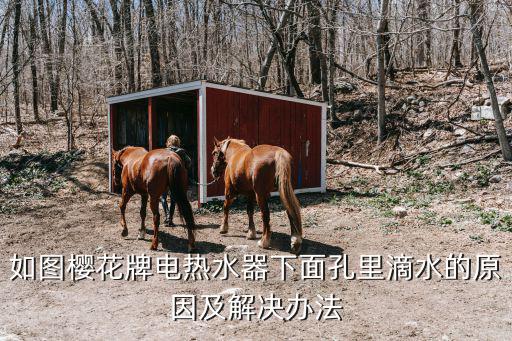 如圖櫻花牌電熱水器下面孔里滴水的原因及解決辦法